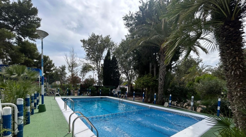 Alicante - Crevillente - 8600m2