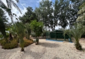 Xalet independent amb terreny en venda a Crevillent ref.: TR261845 foto