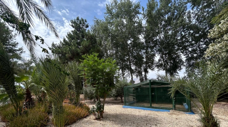 Alicante - Crevillente - 8600m2