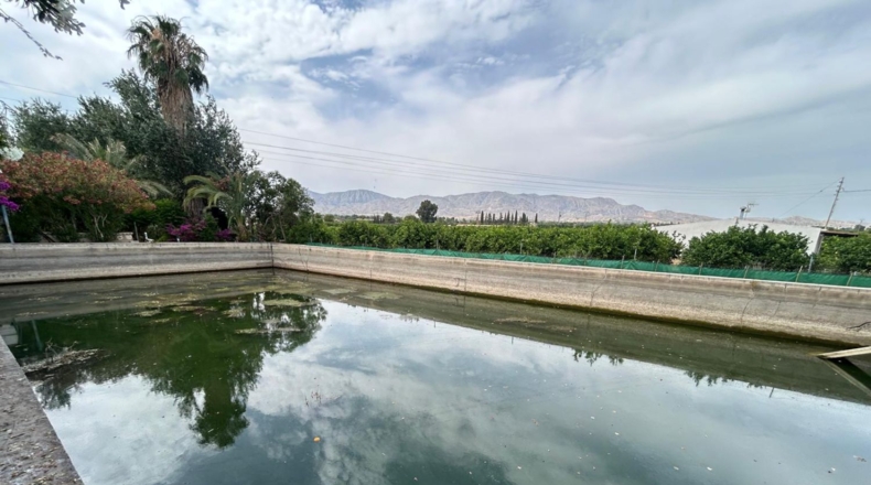 Alicante - Crevillente - 8600m2
