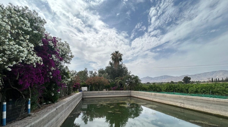 Alicante - Crevillente - 8600m2
