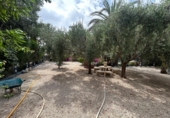 Xalet independent amb terreny en venda a Crevillent ref.: TR261845 foto
