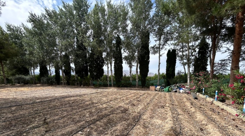 Alicante - Crevillente - 8600m2