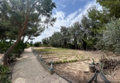 Xalet independent amb terreny en venda a Crevillent ref.: TR261845 foto