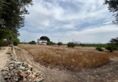 Xalet independent amb terreny en venda a Crevillent ref.: TR261845 foto
