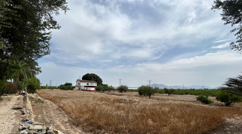 Alicante - Crevillente - 8600m2