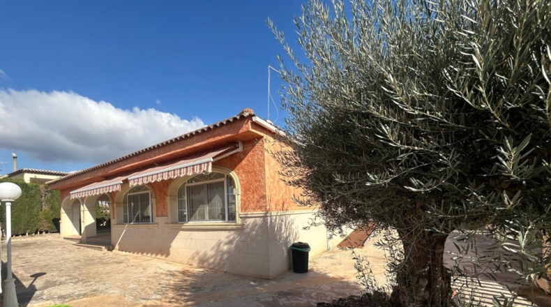 Alicante - Albatera - 2000m2