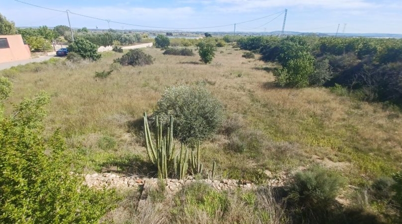 Alicante - Альбате́ра - 2150m2