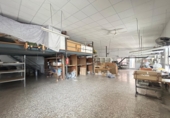 Xalet independent amb terreny en venda a Elx ref.: TR329173 foto