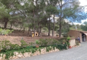 Casa de camp amb terreny en venda a el Fondó de les Neus ref.: TR349255 foto