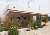 Country house with land for sale in Hondón de las Nieves ref: TR363898 photo