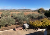 Country house with land for sale in Hondón de las Nieves ref: TR363898 photo