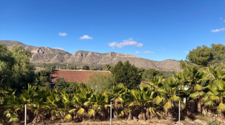 Alicante - Hondón de las Nieves - 3000m2