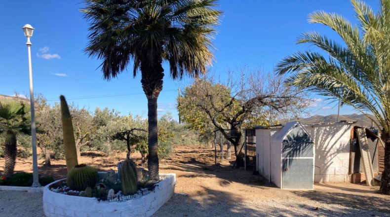 Alicante - Hondón de las Nieves - 3000m2