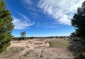 Terreno no urbanizable en venta en Crevillente ref: TR363833 foto