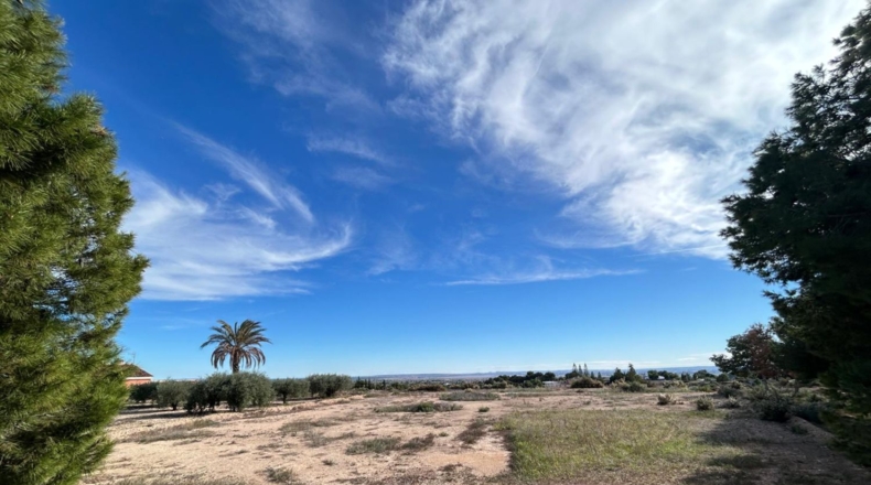 Alicante - Crevillent - 17967m2