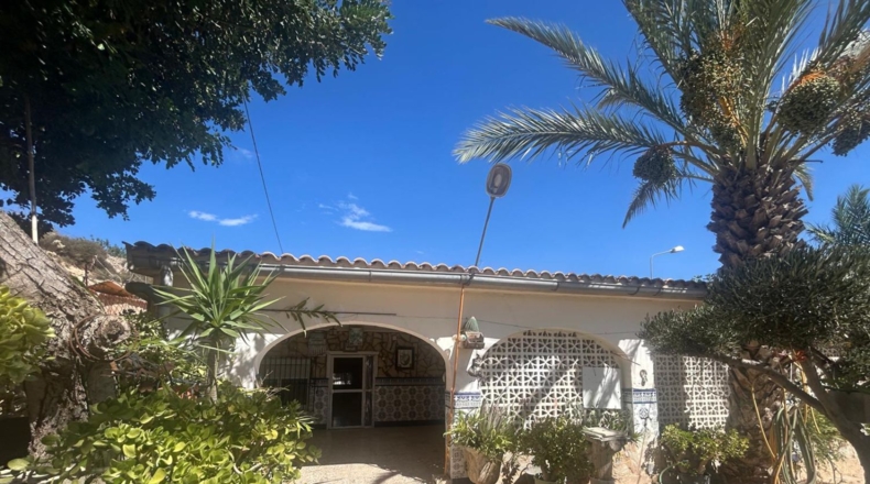 Alicante - Crevillente - 1500m2