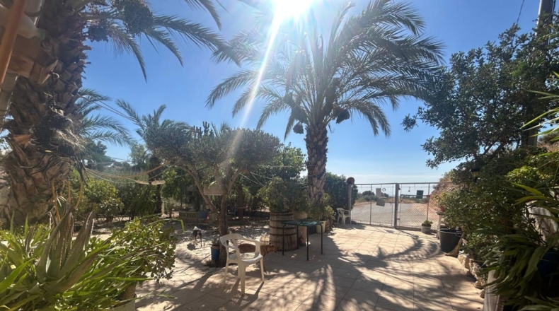 Alicante - Crevillente - 1500m2