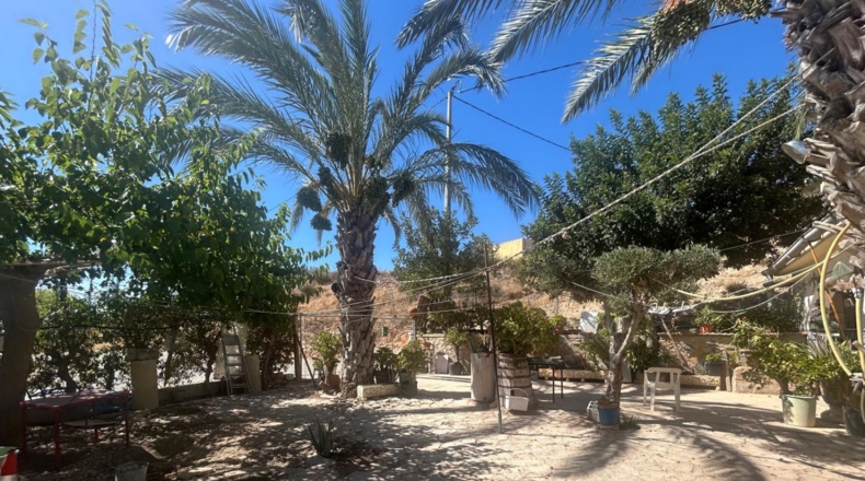 Alicante - Crevillente - 1500m2