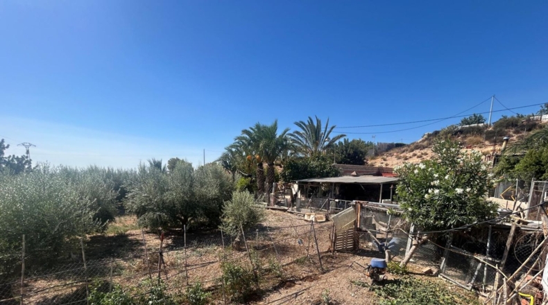 Alicante - Crevillente - 1500m2