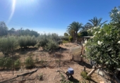 Casa de camp amb terreny en venda a Crevillent ref.: TR370009 foto