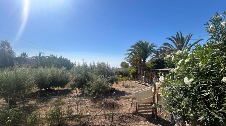 Alicante - Crevillente - 1500m2
