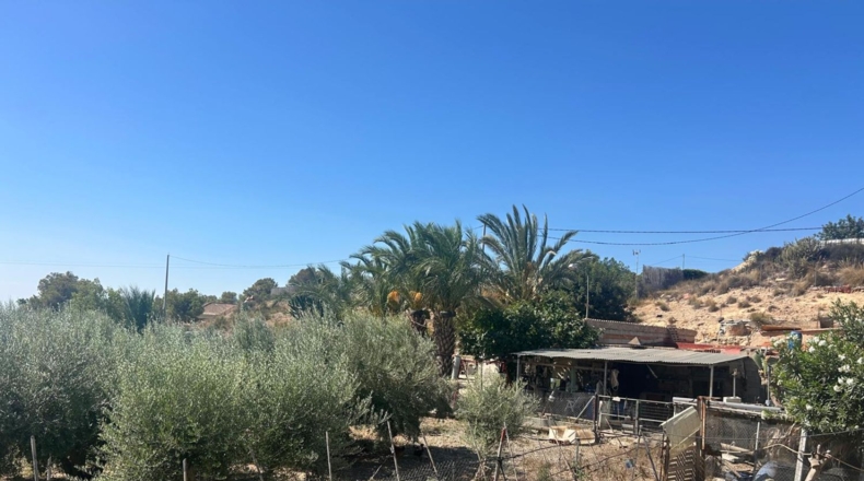 Alicante - Crevillente - 1500m2