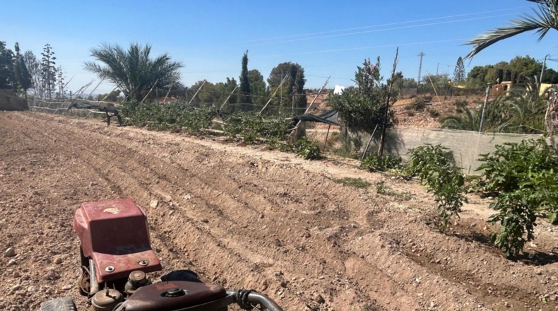 Alicante - Crevillente - 1500m2