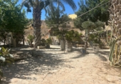 Casa de camp amb terreny en venda a Crevillent ref.: TR370009 foto