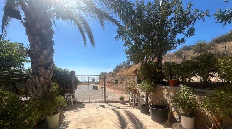Alicante - Crevillente - 1500m2