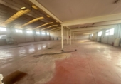 Industrial warehouse for sale in Crevillent ref: TR372898 photo