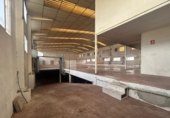 Industrial warehouse for sale in Crevillent ref: TR372898 photo