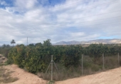Terreno no urbanizable en venta en Crevillente ref: TR374673 foto