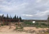 Terreno no urbanizable en venta en Crevillente ref: TR374673 foto