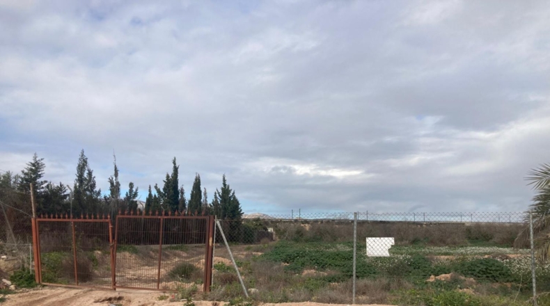 Alicante - Кревильенте - 14000m2