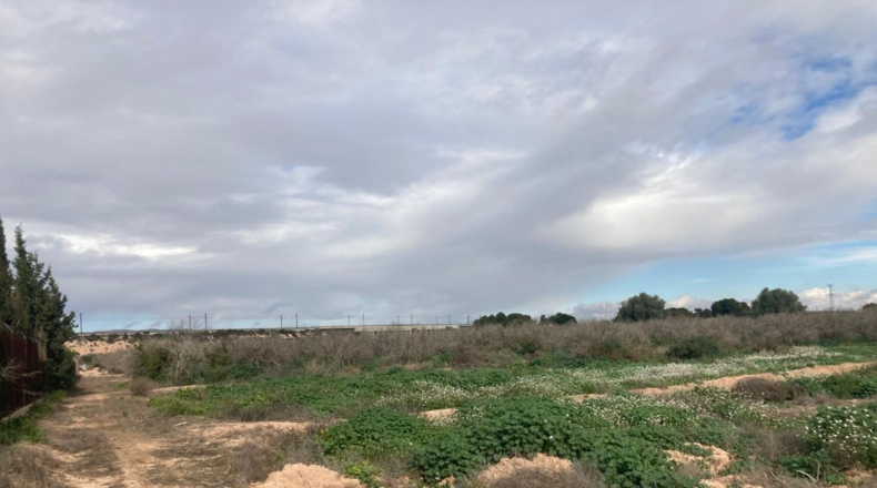 Alicante - Кревильенте - 14000m2