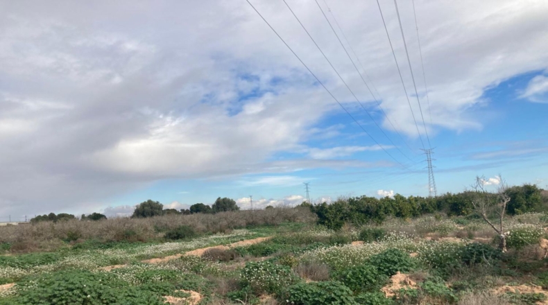 Alicante - Кревильенте - 14000m2