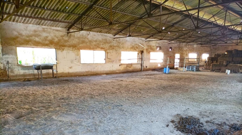 Huelva - Bonares - 2614m2