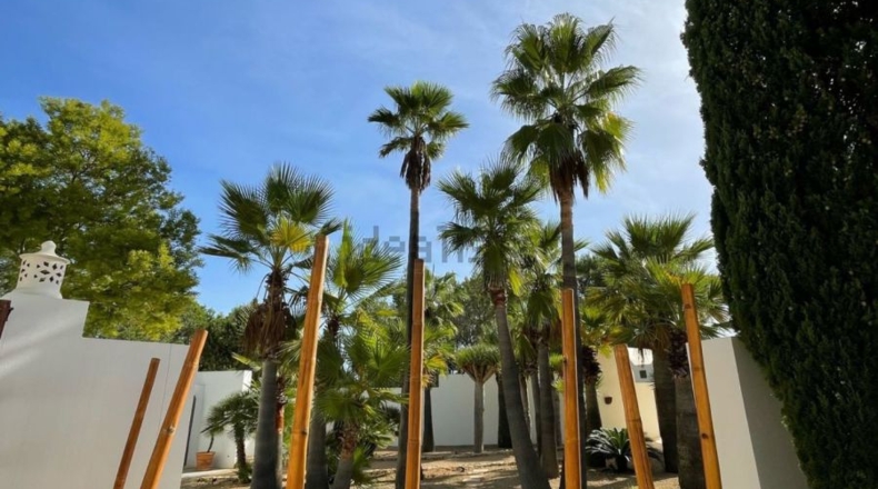 Valencia - Riba-roja de Túria - 14000m2