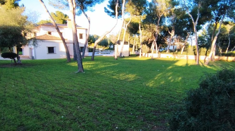 Islas Baleares - Sol de Mallorca - 2300m2