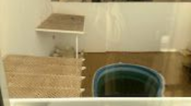 Illes Balears - Ses Cadenes - 2m2