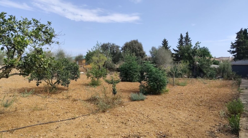Islas Baleares - Llucmajor - 2660m2
