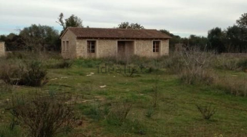 Балеарские острова - Porreras - 15000m2