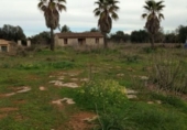 Finca rústica en venda a Porreres ref.: TR262613 foto