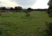 Finca rústica en venda a Porreres ref.: TR262613 foto