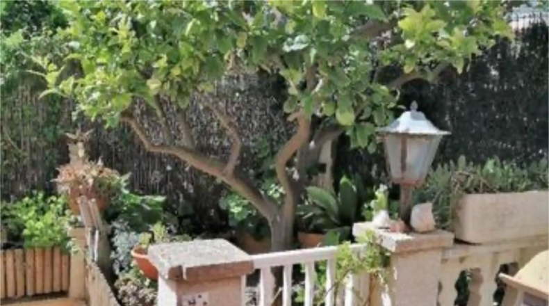 Balearic Islands - Palma - 310m2