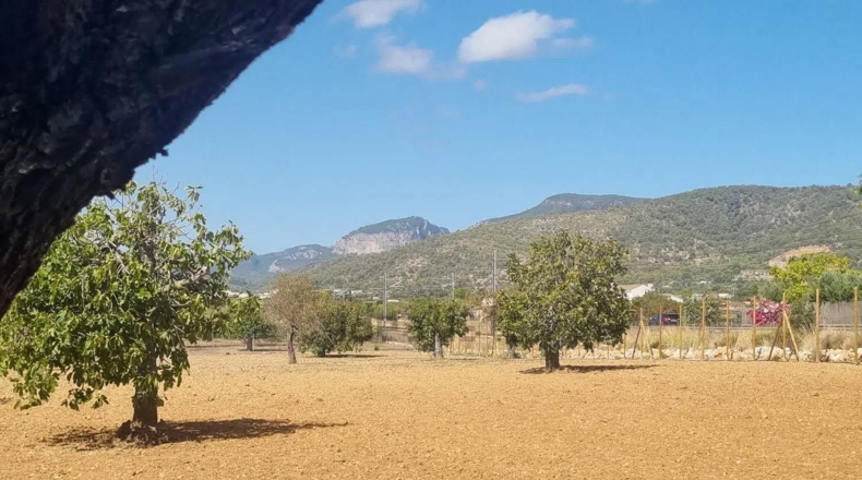 Islas Baleares - Inca - 120m2