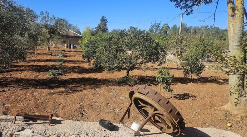 Illes Balears - Algaida - 3460m2