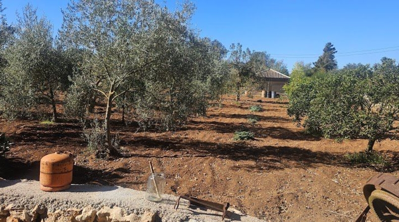 Illes Balears - Algaida - 3460m2