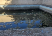 Земельный участок на продажу в городе Algaida. Фото